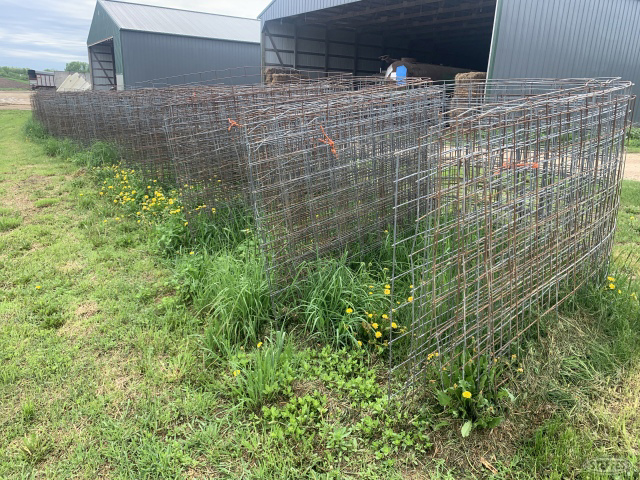 (180 +/-) Cattle panels used as calf pens